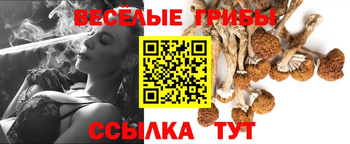 Галлюциногенные грибы MAGIC MUSHROOMS Барнаул