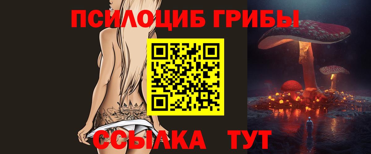 Псилоцибиновые грибы мицелий  Вход с VPN  Барнаул 